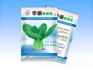 �A��-�๣�˷N��-�����N�I(y��)