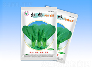 ���һ̖-�๣�˷N��-�����N�I(y��)