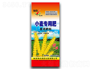 С�����Ï�(f��)�����15-7-4-���۝�(r��n)��