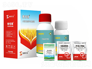 ���݌����ײ�-�����R-�S�՘�