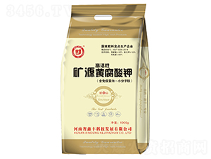 �߻��ԵVԴ�S�����-���S�Ƽ�