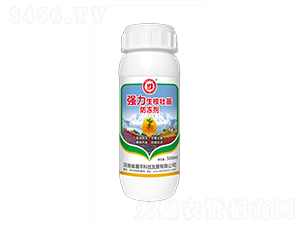 �����������������-���S�Ƽ�