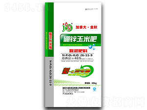 ���\���׏�(f��)���26-11-9-���ô󡤽���-�A������