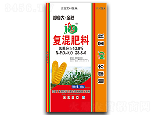 ���׌��Ï�(f��)���28-6-6-���ô󡤽���-�A������