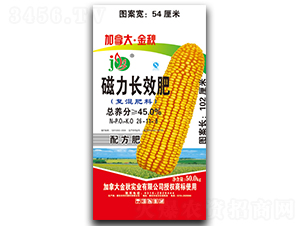 �����LЧ���׌��Ï�(f��)���26-11-8-���ô󡤽���-�A������