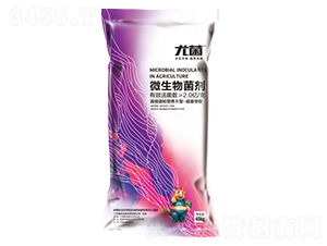 �����A��΢�������-�Ⱦ�-������