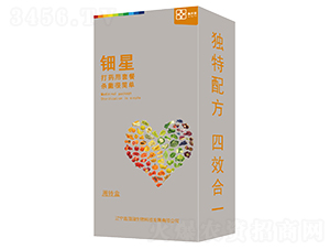 ��ǣ����b��-������