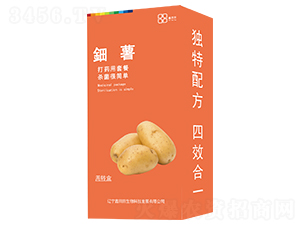 ��������b��-������