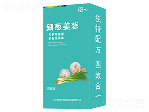 ��[���⣨���b��-������