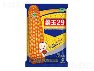 ���29-���׷N��-�δ�G