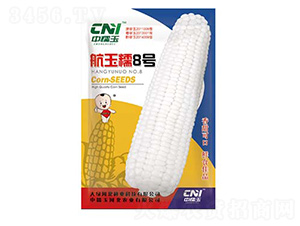 ����Ŵ8̖(h��o)-Ŵ���׷N��-�δ�G