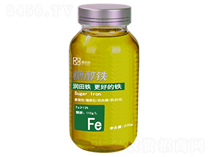 �Ǵ��F-������