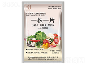 �ѹ�����һ��һƬ-������