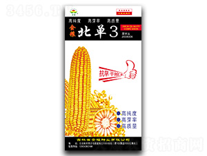 ����3-���׷N��-��Z�N�I(y��)