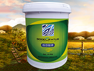 �������-�à�B(t��i)-�r(n��ng)��