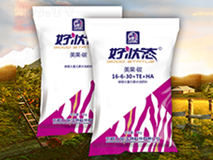 ������̼16-6-30+TE+HA-�à�B(t��i)-�r(n��ng)��