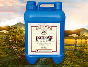 ���������߻���΢�������-����˹-�r(n��ng)��