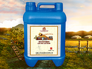 ���в�ˎ�Ƅ�-���ݘ���-�r(n��ng)��