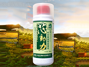 �в�ˎ����������-о����-�r(n��ng)��