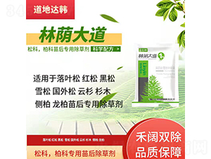 �ɿưؿƌ��������݄�-���a���-�����_�n