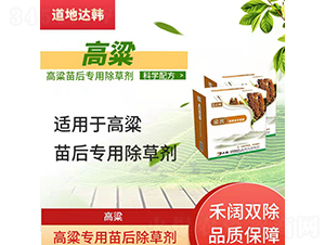 �������������݄�-����-�����_(d��)�n