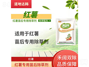 �t�팣�������݄�-�����_(d��)�n