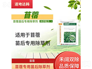 ��ޣ���������݄�-��ޣ��-�����_(d��)�n