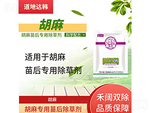 ���錣�������݄�-����-�����_(d��)�n