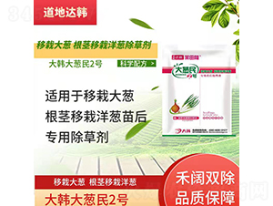 ���Դ��[���o�������[���������݄�-���[��2̖(h��o)-�����_(d��)�n