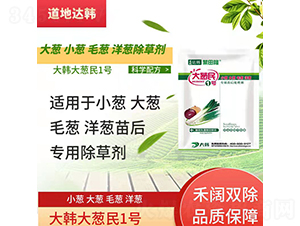 ���[С�[ë�[���[���������݄�-���[��1̖(h��o)-���n