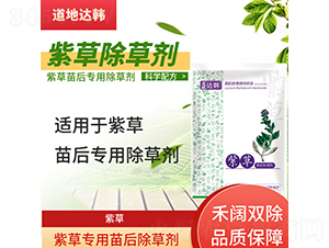 �ϲ݌��������݄�-�����_(d��)�n