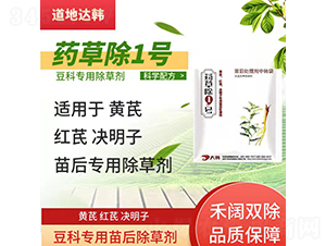 ���ƌ�(zhu��n)�������݄�-ˎ�ݳ�1̖(h��o)-�����_(d��)�n