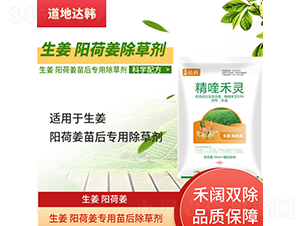 �����(y��ng)�ɽ���(zhu��n)�������݄�-�����_(d��)�n