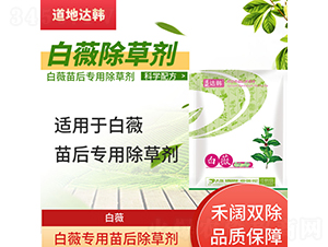 ��ޱ���������݄�-�����_�n