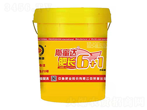 ���L6+1-�з�