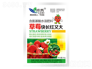 ��ݮ���L�t�ִ�-�G��-��ʿ�R��