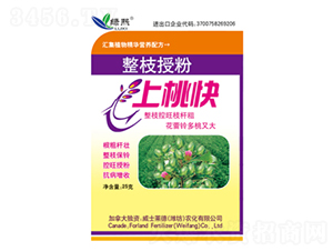 ��֦�ڷ����ҿ�-�G��-��ʿ�R��