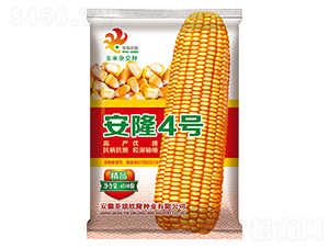 ��¡4̖(h��o)-���׷N��-���y��¡