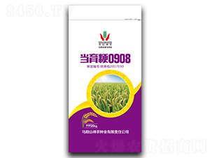 ������0908-ˮ���N��-���r�N�I(y��)