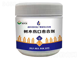 ��(sh��)ľ�������τ�-�ִ��-��(r��n)��