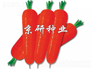 �tо100-���}���N��-����