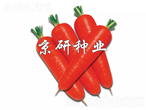 �tо95-���}���N��-����