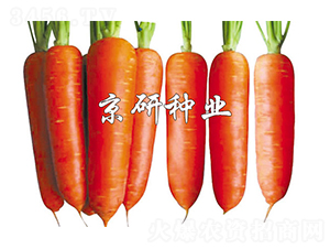 �A�u(y��)208-���}���N��-����