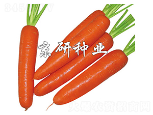 �A�u(y��)268-���}���N��-����