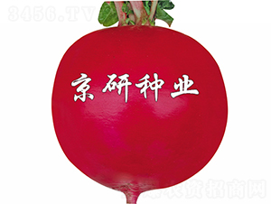 ���t5̖-�}���N��-����