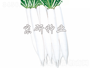 �������-�}���N��-����