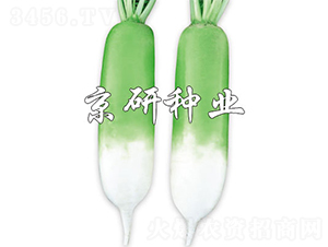 ���оG��-�}���N��-����