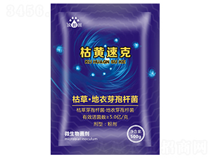 ���S�ٿˣ�΢���������-��p�p-�������