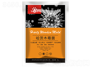 ����ľù��-��p�p-�������