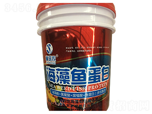 �����~����-�����r(n��ng)-���r(n��ng)�ʘI(y��)